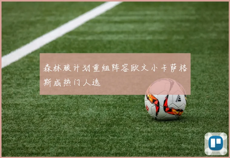 森林狼计划重组阵容欧文小卡萨格斯成热门人选